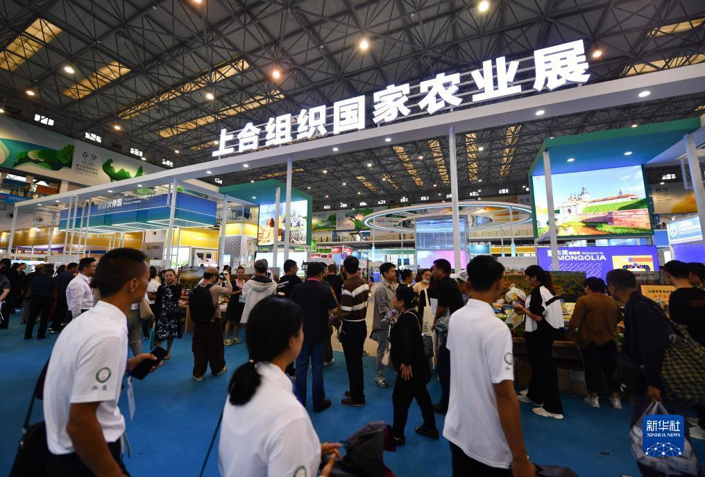 宝利游戏怎么样